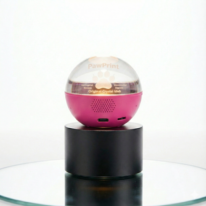 Personalised Memory ball for Your Paw