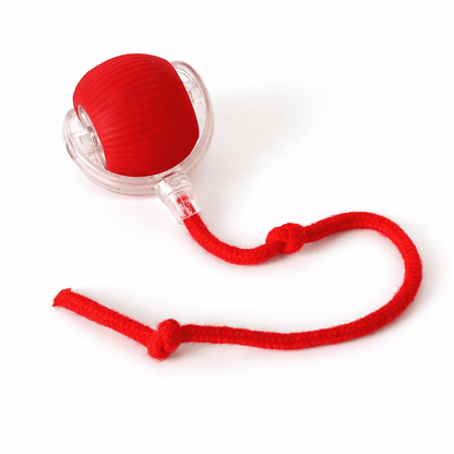 Red ball with a rope on a white background